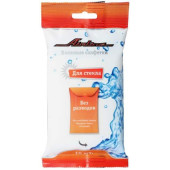 Салфетки влажные для стеклянных поверхностей (10 шт.) <b>AIRLINE AN-M-02</b>