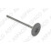 Клапан двигателя впускной QASHQAI SENTRA SERENA TEANA TIIDA LATIO TIIDA MEX MAKE TIIDA SEDAN VERSA WINGROAD X-TRAIL <b>ASPACO AP1023</b>