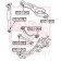 Сайлентблок, рычаг независимой подвески колеса <b>ASVA 0501066</b>