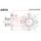 Ступица [12] <b>ASVA HNWHEUA50R</b>