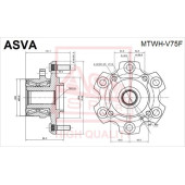Ступица [12] <b>ASVA MTWHV75F</b>