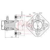 Ступица задняя (10216022/181012/0025216/3, китай) [12] <b>ASVA NSWHCX11R</b>