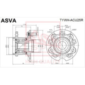 Ступица [12] <b>ASVA TYWHACU25R</b>