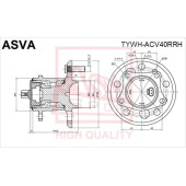 Ступица [12] <b>ASVA TYWHACV40RRH</b>