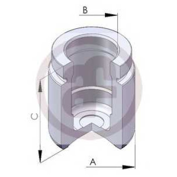 Поршень корпуса скобы тормоза AUTOFREN SEINSA D025125