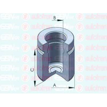 Поршень корпуса скобы тормоза AUTOFREN SEINSA D025518