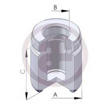 Поршень корпуса скобы тормоза AUTOFREN SEINSA D02577