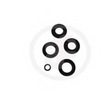 Ремкомплект главного тормозного цилиндра AUTOFREN SEINSA D1630