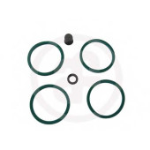 Ремкомплект тормозного суппорта AUTOFREN SEINSA D4131