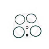 Ремкомплект тормозного суппорта AUTOFREN SEINSA D4133