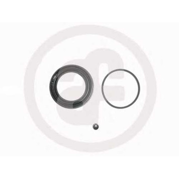 Ремкомплект тормозного суппорта AUTOFREN SEINSA D4346