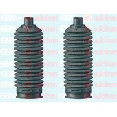 Комплект пылника рулевого управления AUTOFREN SEINSA D9264C