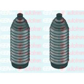 Комплект пылника рулевого управления AUTOFREN SEINSA D9268C