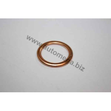 Шайба уплотнительная <b>AUTOMEGA 190039910</b>