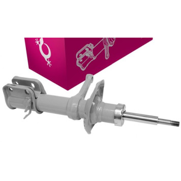 Амортизатор ВАЗ 1119 Калина стойка передняя правая <b>БЕЛМАГ BM.0122</b> (1119-2905002)