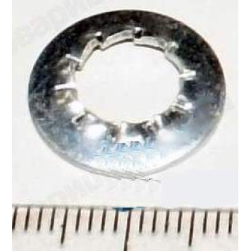 Шайба 8*22 стопорная с внутренними зубьями <b>БелЗАН 12598471</b>