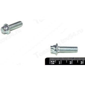 Болт М6*18*1 держателя сальника к/вала ВАЗ 1118 Калина, 2190, 2170 Приора <b>БЕЛЗАН 21120-1005157-008</b>