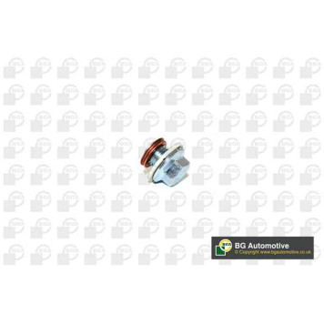 Сайлентблок зад нижн рыч LROV RANGE ROVER/SPORT 2.7DT/3.0DT/4.4/5.0 02-13 <b>BGA BU4203</b>