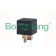 Реле <b>BORSEHUNG B17820</b>
