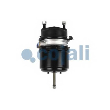 Тормозной цилиндр с пружинным энергоаккумулятором COJALI 2251514-1