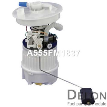 Модуль в сборе с бензонасосом <b>DELON A555FM1837</b>-4