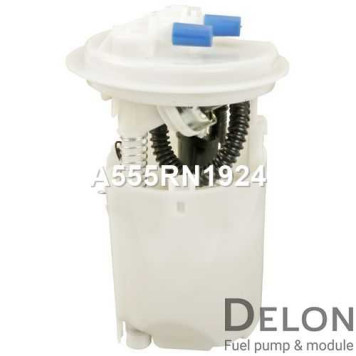 Модуль в сборе с бензонасосом <b>DELON A555RN1924</b>-2