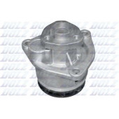 Водяной насос DOLZ O181