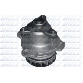 Водяной насос DOLZ R230