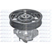 Водяной насос DOLZ S233