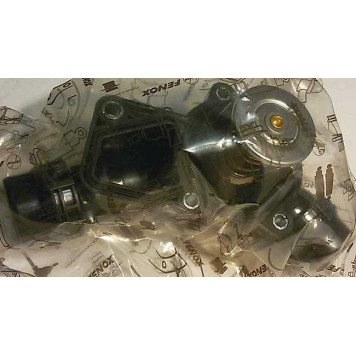 Термостат FENOX TS116-2