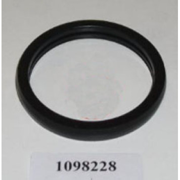 Прокладка термостата <b>FORD 1098228</b>