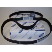 Ремень приводной (комплект) <b>FORD 1829195</b>