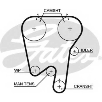 Ремень ГРМ GATES 5343XS