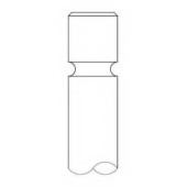 Впускной клапан INTERVALVES 3232.032
