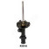 Амортизатор передний левый для HYUNDAI ACCENT(MC) / KIA RIO(JB) <b>JAPANPARTS MM-KI014</b>