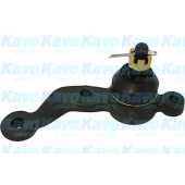 Несущий / направляющий шарнир <b>KAVO PARTS SBJ-9049</b>