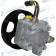 Насос гидроусилителя руля <b>MOTORHERZ P1258HG</b>