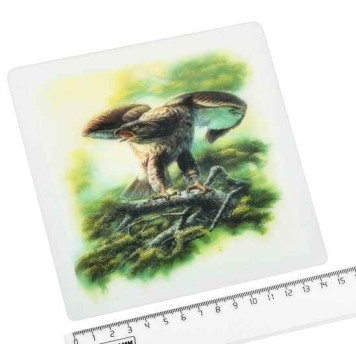 Коврик противоскользящий 18х15 см с рисунком в ассортименте-2