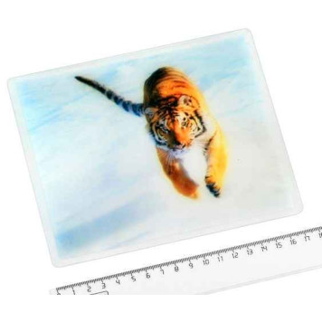 Коврик противоскользящий 18х15 см с рисунком в ассортименте-4