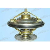 Термостат, охлаждающая жидкость PATRON PE21020