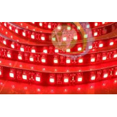 Лента светодиодная SMD3528 120LED/м, IP65, красный (цена за 10см)