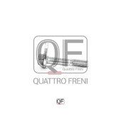 Болт с эксцентриком <b>QUATTRO FRENI QF00X00004</b>