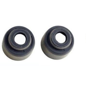 Колпачок маслосъемный V;S-5 (2,7) <b>RAON CDA-001</b>