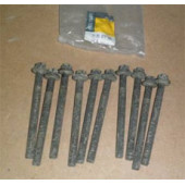 Комплект болтов головки блока <b>RENAULT 7701478860</b>