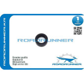 Сальник <b>ROADRUNNER RR9031118006</b>