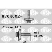 Болт шкива коленвала RENAULT MEGANE I-III 1.6 <b>SASIC 8704002</b>