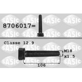 Винт коленчатого вала <b>SASIC 8706017</b>