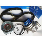 Водяной насос + комплект зубчатого ремня SKF VKMC 01113-1