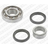 Комплект подшипника ступицы колеса SNR R177.13