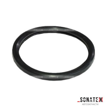 Прокладка термостата Renault <b>SONATEX 101942</b>